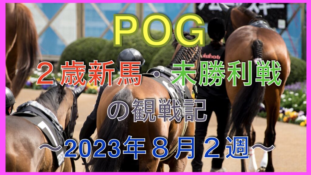 【POG向け】２歳新馬・未勝利戦の観戦記【2023年８月２週】