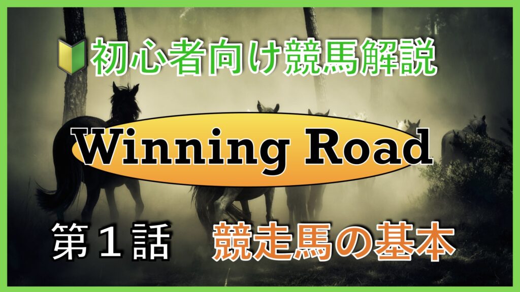 【第１話】初心者向け競馬解説〜競走馬の基本〜【Winning Road】