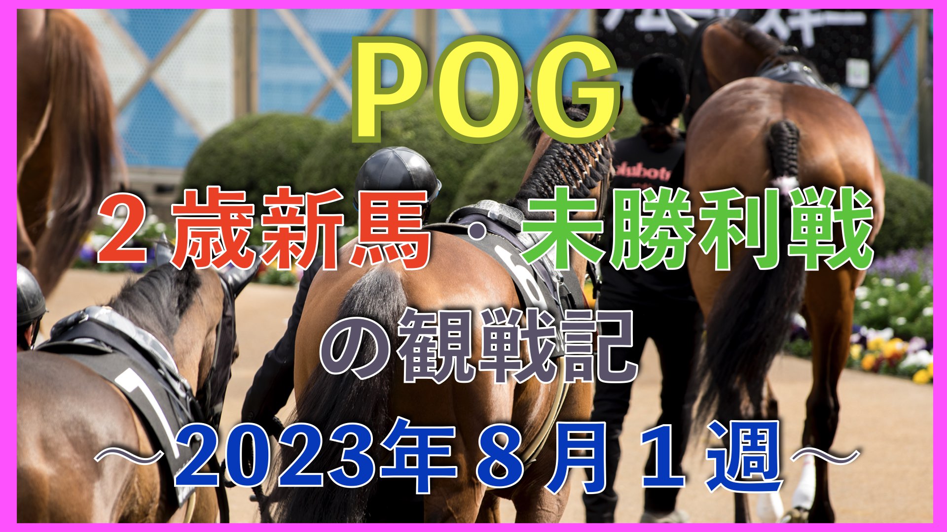 【POG向け】２歳新馬・未勝利戦の観戦記【2023年８月１週】 