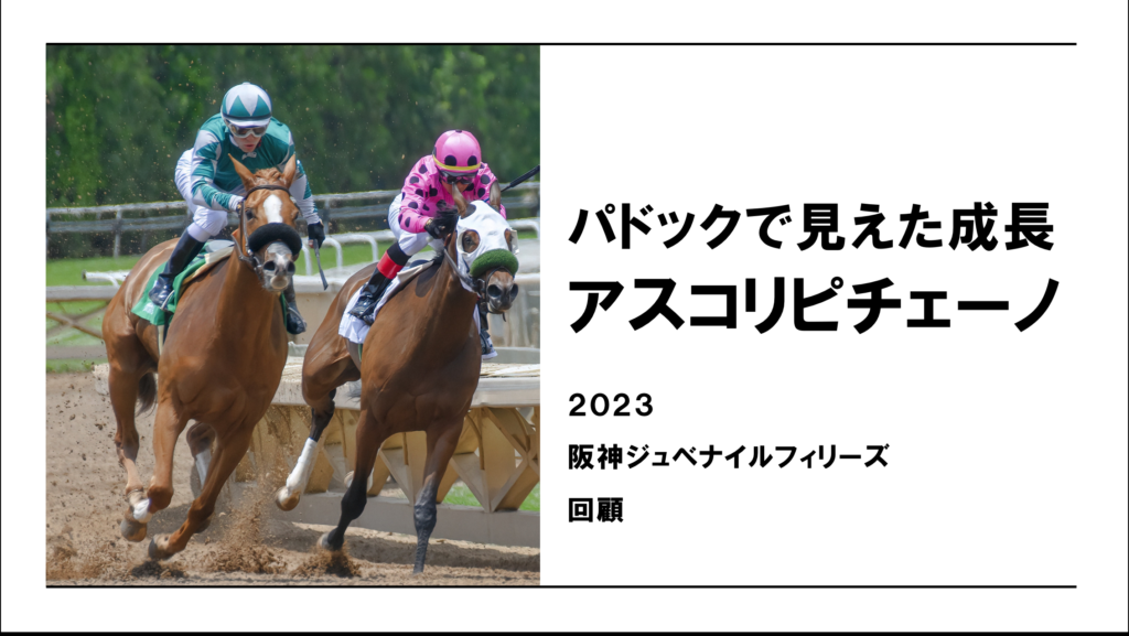 【2023阪神JF】２歳馬は"成長度合い"が重要でしたね・・・パドックチェックでの反省点【レース回顧】