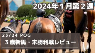 【POG向け】３歳新馬・未勝利戦レビュー【2024年１月第２週】 