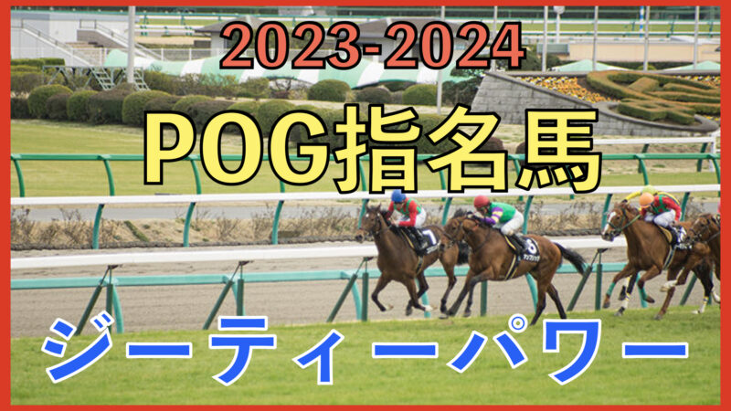 【第７回】2023-2024POG指名馬紹介〜ジーティーパワー〜【2/4東京5Rデビュー予定】 