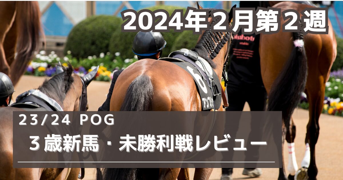 POG向け】3歳新馬・未勝利戦レビュー【2024年2月第2週