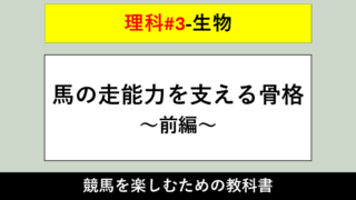 【生物】馬の走能力を支える骨格～前編～【理科#3】 