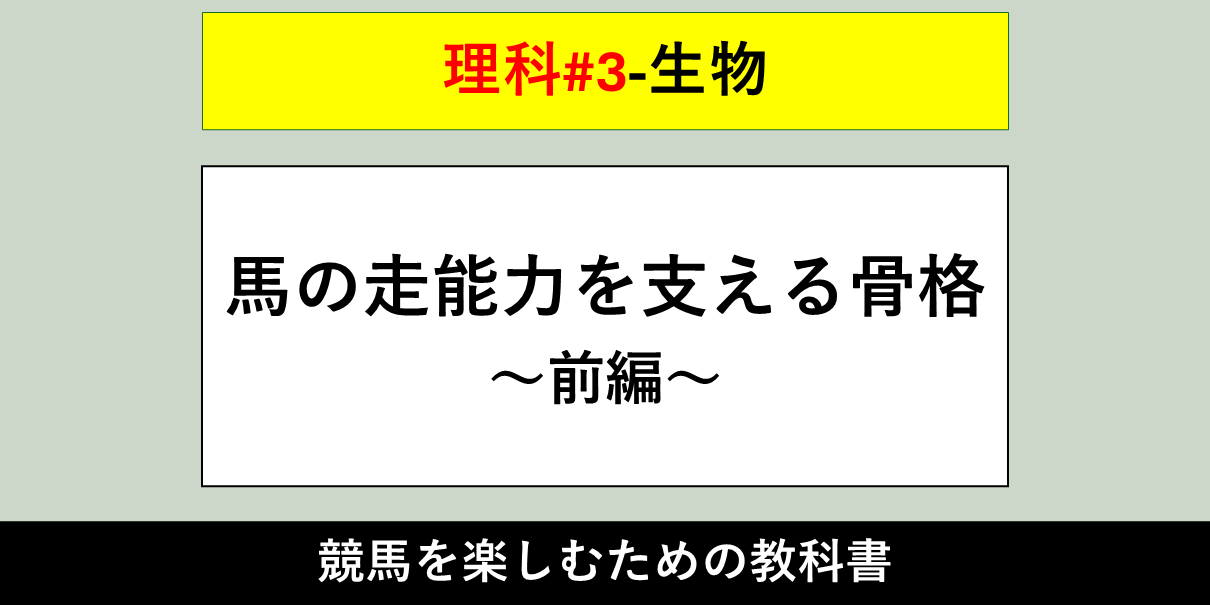【生物】馬の走能力を支える骨格～前編～【理科#3】