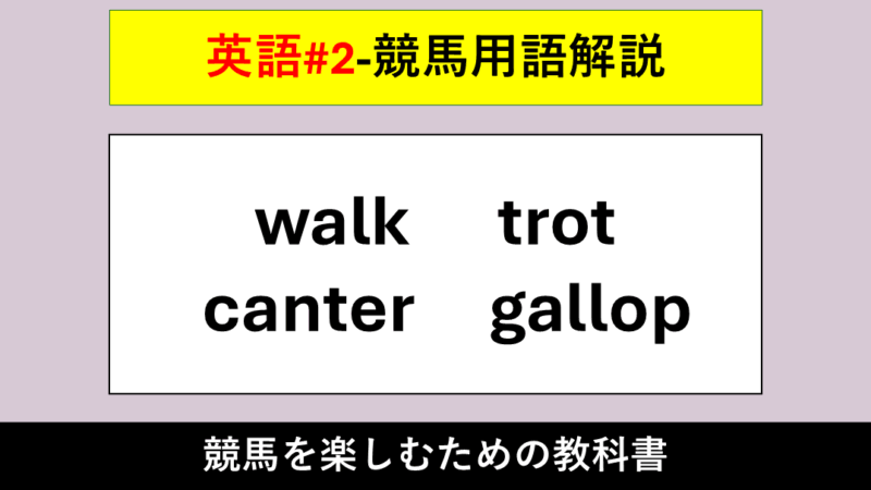 【競馬用語解説】walk（ウォーク）・trot（トロット）・canter（キャンター）・gallop（ギャロップ）【英語#2】 