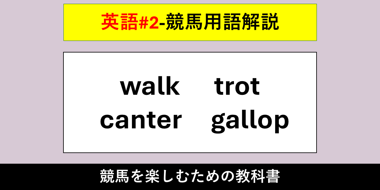 【競馬用語解説】walk（ウォーク）・trot（トロット）・canter（キャンター）・gallop（ギャロップ）【英語#2】