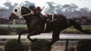 ハイセイコーがなぜ中央初戦から異常な人気だったのかわからない 