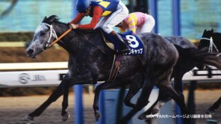 オグリキャップは人間に”涙”を流させるほど感動を与えた 