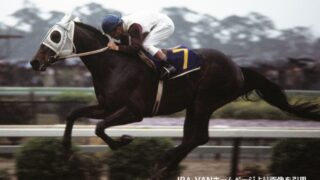 ハイセイコーがなぜ中央初戦から異常な人気だったのかわからない 