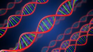 2025年にJRA（中央競馬）で走った馬の血統支配率を調べた 