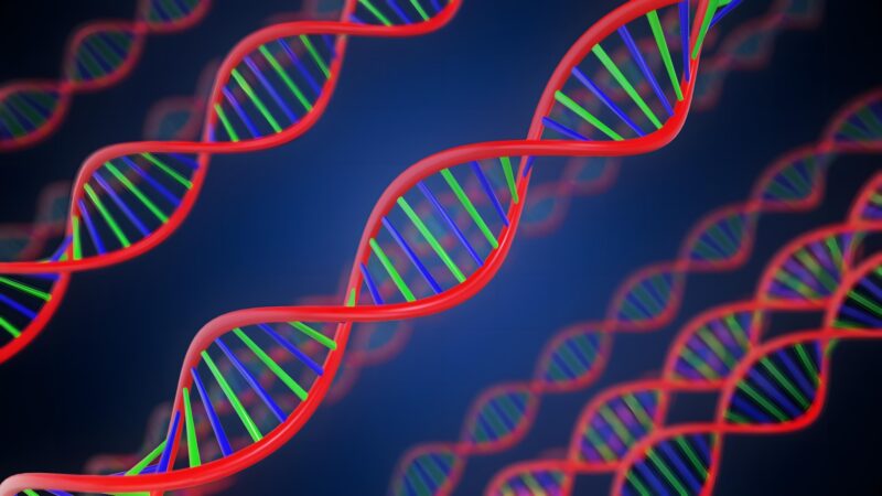 2025年にJRA（中央競馬）で走った馬の血統支配率を調べた 