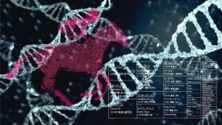 遺伝学を学んだとて血統理論で未来は予測できない 